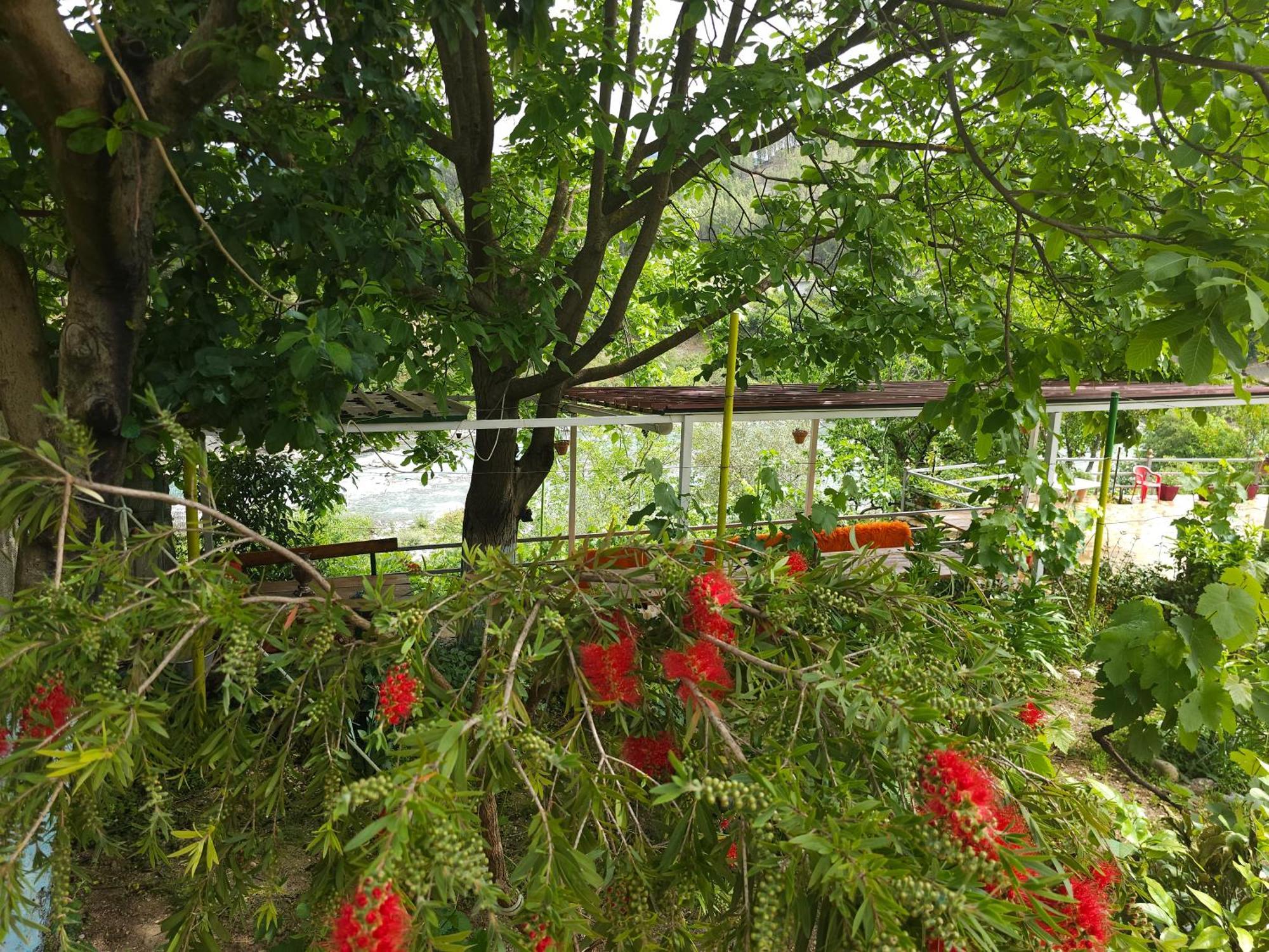 Honey-House “Kastrioti” Apartment Përmet Cameră foto
